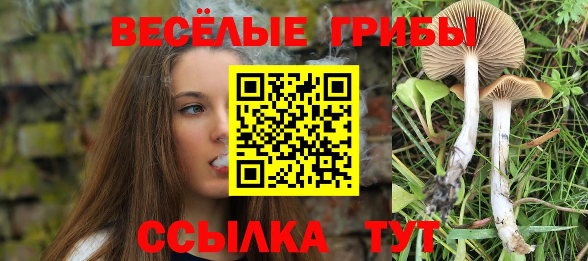 Псилоцибиновые грибы GOLDEN TEACHER Донской