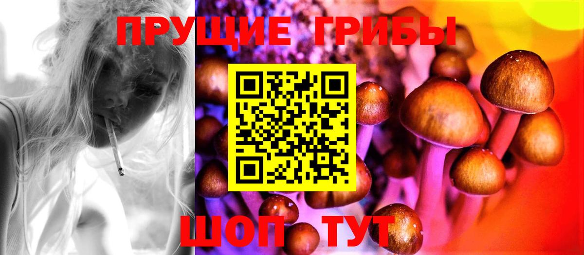 Псилоцибиновые грибы MAGIC MUSHROOMS  Галлюциногенные грибы мухоморы  купить  сайты  Вход с VPN  Донской 